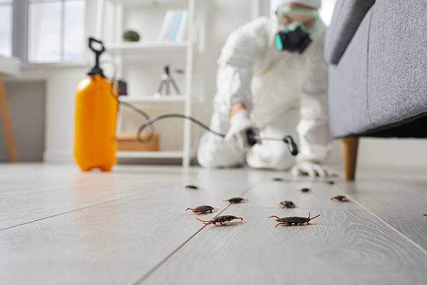 Commercial Rodent Management in Greentree